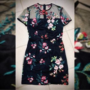 Sheer Mesh Yoke Floral Embroidered Mini Dress
